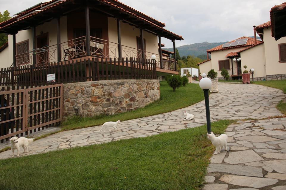 Karyon Apartments Kariófiton Dış mekan fotoğraf